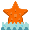 Étoile de mer icon