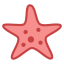 Estrela do Mar icon