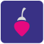 Berry icon