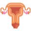 Utero icon