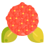 Hydrangea icon