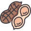 peanut icon