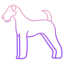 externe-airedale-terrier-races-de-chien-icongeek26-contour-gradient-icongeek26 icon