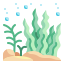 Seaweed icon