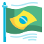 Brazil Flag icon