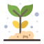 太陽の下の植物 icon