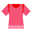 Womens T-Shirt icon