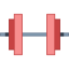 Dumbbell icon