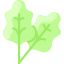 Rhubarb icon