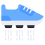 Smart Shoe icon