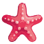 Sea Star icon