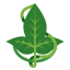 Leaf Of Lorien icon