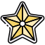 Estrella de Navidad icon