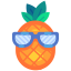 Pineapple Sunglasses icon