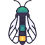 Cicada icon