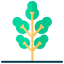 Tree icon