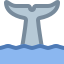 Tail Of Whale icon