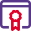 Website certificate for security and privacy layout icon