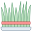 사브제 icon