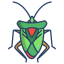 Stink Bug icon