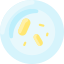 Petri Dish icon