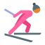 Cross Country Skiing Skin Type 3 icon