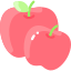 Apple icon