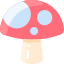 Cogumelo icon