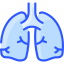 Lungs icon