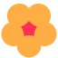 Spa Flower icon