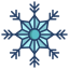 Flocon de neige icon