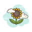 Sunflower icon