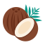 Noce di cocco icon