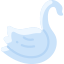 Cisne icon