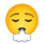 emoji-exhalando-la-cara icon