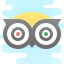 TripAdvisor icon