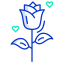 Love Rose icon