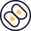 Mitosis cell biology cycle replicated chromosomes icon