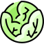 Repolho icon