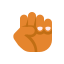 Clenched Fist Skin Type 4 icon