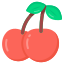 Cherries icon