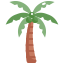 Coconut Tree icon