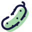 Cucumber icon