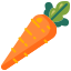 Carrot icon