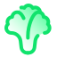 Lettuce icon