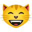 grinsende-Katze-mit-lächelnden-Augen icon