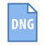 DNG icon