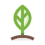 Leaf icon