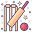 Kricket icon