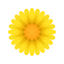 Blüte icon